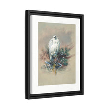 The Greenland Falcon from Zoological sketches (1861-1867) by Joseph Wolf and Philip Lutley Sclater - NOMADEN ART GALLERY