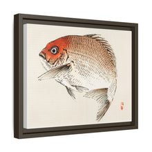 Tai (Red Seabream) fish by Kōno Bairei