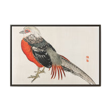 Japanese pheasant by Kōno Bairei (1844-1895) - NOMADEN ART GALLERY