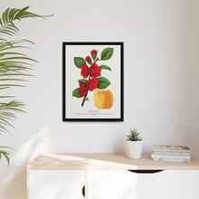 Japan Quince tree lithograph. Digitally enhanced from our own original 1900 edition plates of Botanical Specimen published by Rochester Lithographing