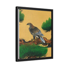Pine and Eagle, a traditional portrait of a charismatic Japanese eagle by Kano Tanyu (1602-1674)