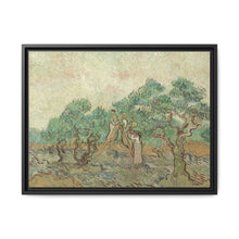 Vincent van Gogh's The Olive Orchard (1889) - Historical Art Canvas Print - NOMADEN ART GALLERY