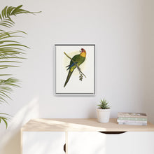 Carolina Parrot (Conuropsis carolinensis) colored wood-engraved plate by Alexander Francis Lydon.