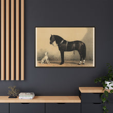 Orloffer (Orloff Horse) by Emil Volkers (1880) - An illustration of a black horse and a white dog - NOMADEN ART GALLERY