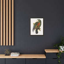 Mountain Parrot (Nestor notabilis) colored wood-engraved plate by Alexander Francis Lydon