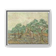 Vincent van Gogh's The Olive Orchard (1889) - Historical Art Canvas Print - NOMADEN ART GALLERY