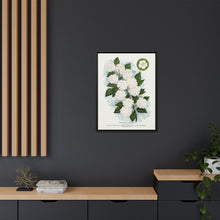 Japanese snowball flower lithograph. Digitally enhanced from our own original 1900 edition plates of Botanical Specimen published by Rochester Lithographing