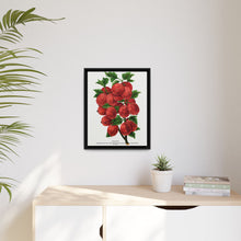 Industry Gooseberry lithograph. Digitally enhanced from our own original 1900 edition plates of Botanical Specimen published by Rochester Lithographing