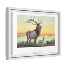 The Wapiti from Zoological sketches (1861-1867) by Joseph Wolf and Philip Lutley Sclater