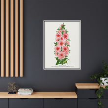 Prunus Triloba flower lithograph. Digitally enhanced from our own original 1900 edition plates of Botanical Specimen published by Rochester Lithographing