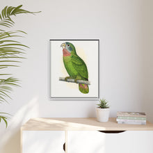 Jamaica Parrot (Amazona collaria) colored wood-engraved plate by Alexander Francis Lydon