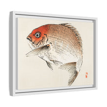 Tai (Red Seabream) fish by Kōno Bairei