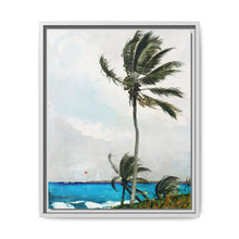 Palm Tree, Nassau (1898) by Winslow Homer - NOMADEN ART GALLERY
