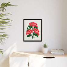 Paul's New Double Flowering Thorn lithograph. Digitally enhanced from our own original 1900 edition plates of Botanical Specimen published by Rochester Lithographing
