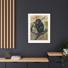 The Chimpanzee from Zoological sketches (1861-1867) by Joseph Wolf and Philip Lutley Sclater.
