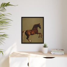 Whistlejacket es una pintura al óleo sobre lienzo de alrededor de 1762 que muestra el caballo de carreras del marqués de Rockingham, encabritado sobre un fondo blanco.