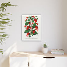 Prunus Triloba flower lithograph. Digitally enhanced from our own original 1900 edition plates of Botanical Specimen published by Rochester Lithographing