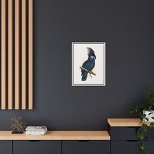 Great Black Cockatoo (Probosciger aterrimus) colored wood-engraved plate by Alexander Francis Lydon