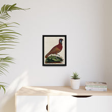 A horned Indian pheasant standing on the grass by J. Pass after J. E. Ihle.