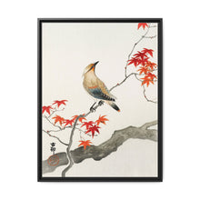Japanese plague bird on maple (1900 - 1936) by Ohara Koson