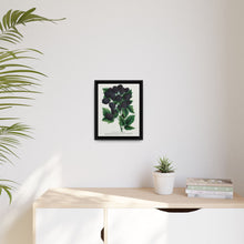 Wachusetts Thornless blackberry lithograph. Digitally enhanced from our own original 1900 edition plates of Botanical Specimen published by Rochester Lithographing - NOMADEN ART GALLERY