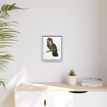 Hawk-Headed Parrot (Deroptyus accipitrinus) colored wood-engraved plate by Alexander Francis Lydon.