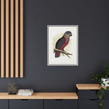 Dusky or Violet Parrot (Pionus fuscus) colored wood-engraved plate by Alexander Francis Lydon.