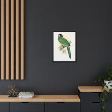 Lydon's Yellow-Naped Parrakeet | Vintage Bird Wall Art Print