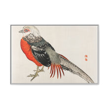 Japanese pheasant by Kōno Bairei (1844-1895) - NOMADEN ART GALLERY