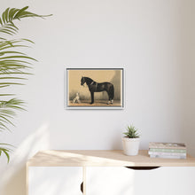 Orloffer (Orloff Horse) by Emil Volkers (1880) - An illustration of a black horse and a white dog - NOMADEN ART GALLERY