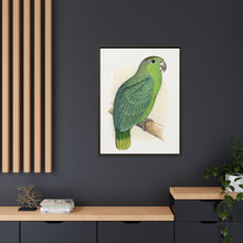 Mealy Amazon (Amazona farinosa) colored wood-engraved plate by Alexander Francis Lydon