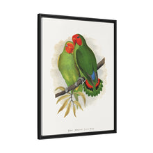 Lydon's West African Love-Bird | Vintage Avian Wall Art Print
