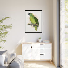 Lydon's Yellow-Naped Amazon | Vintage Parrot Wall Art Print