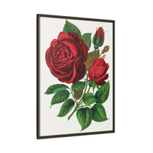 Red Rose, Prince Camille De Rohan Lithograph