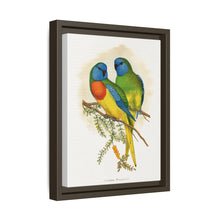 Prachtsittich (Neophema splendida) farbige Holzstichplatte von Alexander Francis Lydon