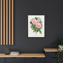Pink rose, Clothilde Soupert lithograph. Digitally enhanced from our own original 1900 edition plates of Botanical Specimen published by Rochester Lithographing