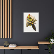 Lydon's Yellow-Rumped Parrakeet | Vintage Bird Wall Art Print