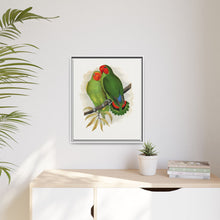 Lydon's West African Love-Bird | Vintage Avian Wall Art Print