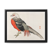 Japanese pheasant by Kōno Bairei (1844-1895) - NOMADEN ART GALLERY