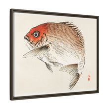 Tai (Red Seabream) fish by Kōno Bairei