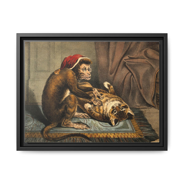 A monkey physician examining a cat patient for fleas. Coloured lithograph - NOMADEN ART GALLERY