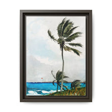 Palm Tree, Nassau (1898) by Winslow Homer - NOMADEN ART GALLERY