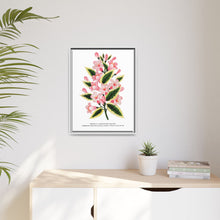 Pink flowers, Weigela lithograph (1900)