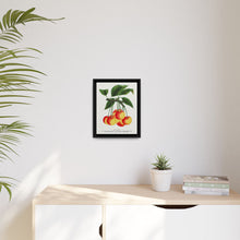 Gov Wood cherry lithograph. Digitally enhanced from our own original 1900 edition plates of Botanical Specimen published by Rochester Lithographing - NOMADEN ART GALLERY
