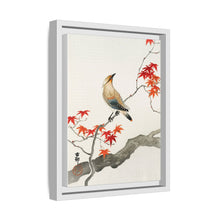 Japanese plague bird on maple (1900 - 1936) by Ohara Koson