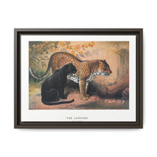 The Leopard from Zoological sketches (1861-1867) by Joseph Wolf and Philip Lutley Sclater - NOMADEN ART GALLERY