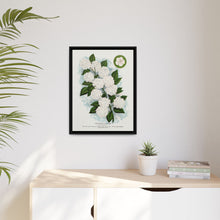 Japanese snowball flower lithograph. Digitally enhanced from our own original 1900 edition plates of Botanical Specimen published by Rochester Lithographing