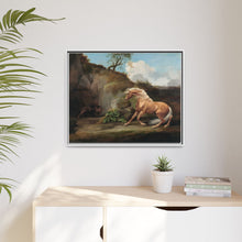 Horse Frightened by a Lion (1762–1768) by George Stubbs