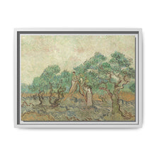 Vincent van Gogh's The Olive Orchard (1889) - Historical Art Canvas Print - NOMADEN ART GALLERY