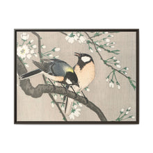 Tits on Cherry Branch (1900–1910) by Ohara Koson